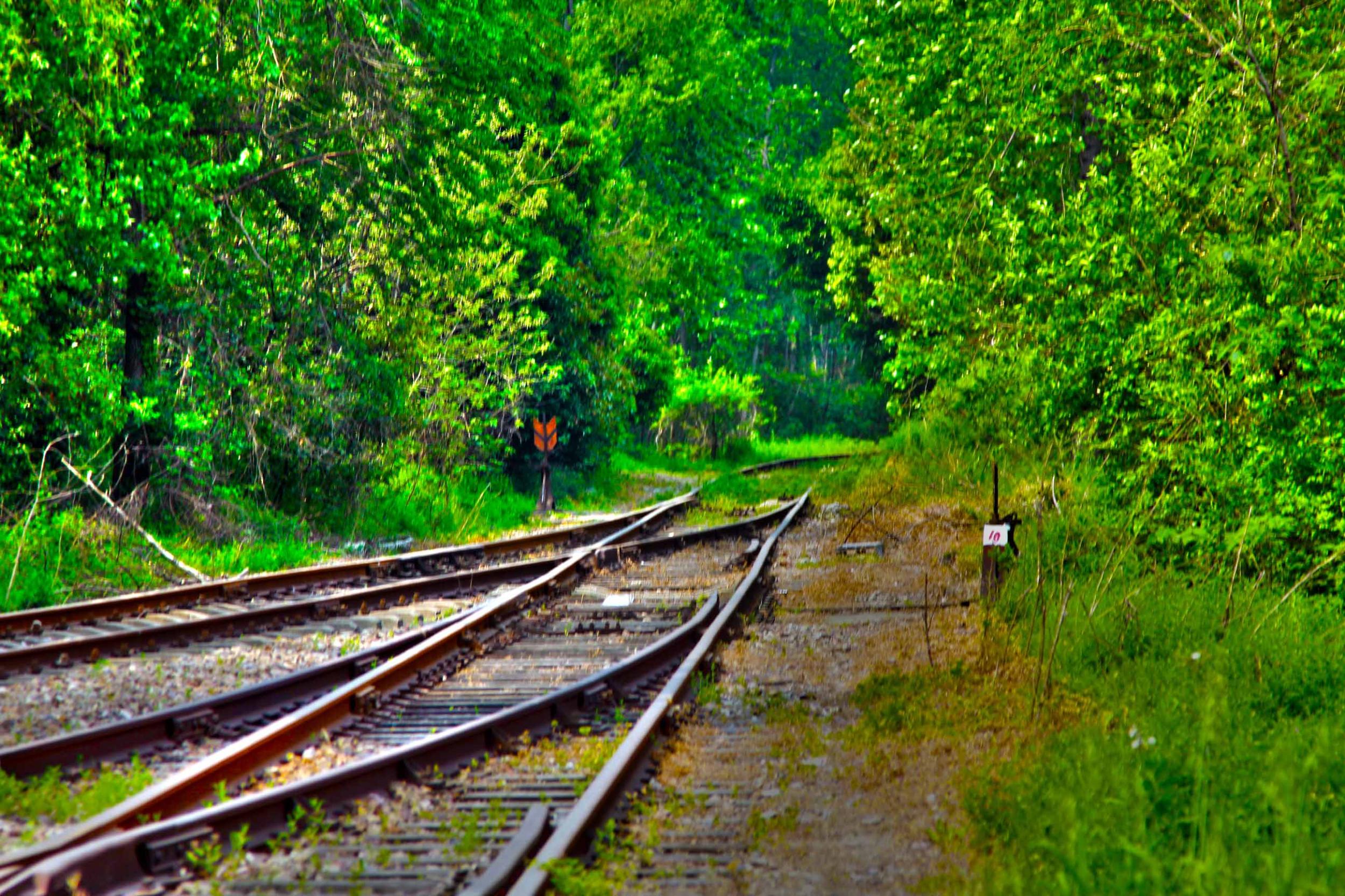 我省今年年內(nèi)有4條鐵路線投入運營更多出行選擇！