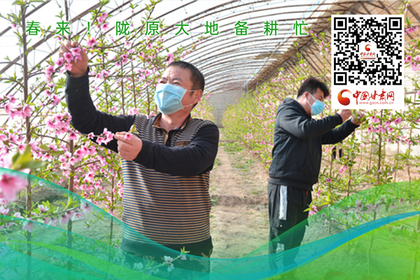 海報丨春來！隴原大地春耕忙