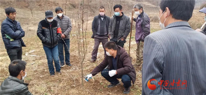 【甘肅全民戰(zhàn)“疫”】隴南徽縣：花椒田里培訓(xùn)忙，戰(zhàn)疫春耕兩不誤