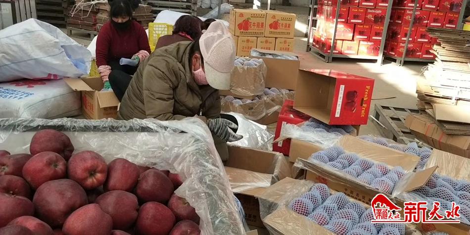 天水“花?！弊罱悬c(diǎn)“?！?>
        </a><em>天水“花?！弊罱悬c(diǎn)“?！?/em></li>
    <li><a  target=