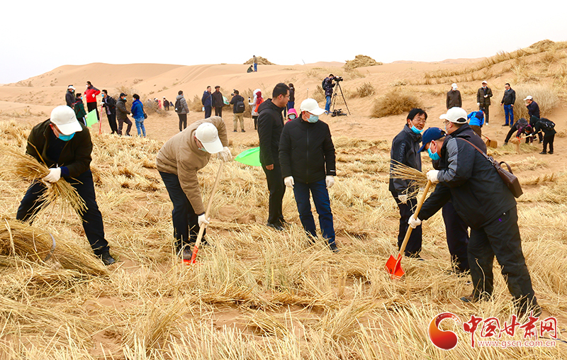 不“疫”樣的植樹節(jié)！甘肅省新聞戰(zhàn)線工作者攜手播綠“八步沙”（圖+視頻）