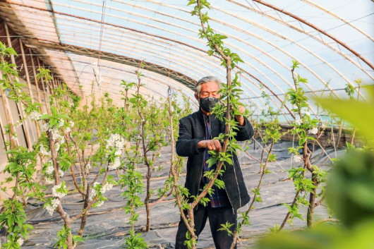 銅城復蘇：春光明媚，邀你共賞芳華（組圖）