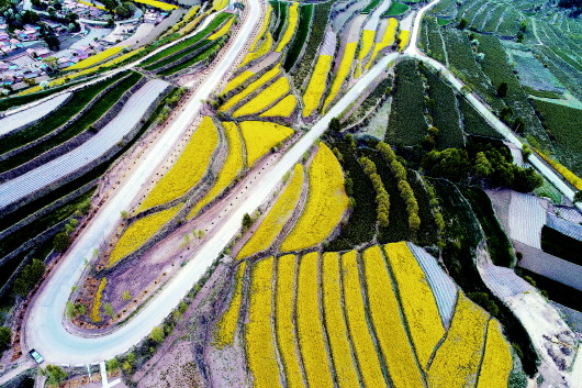平涼人游平涼啟幕 迎接疫情后旅游業(yè)“春天” 