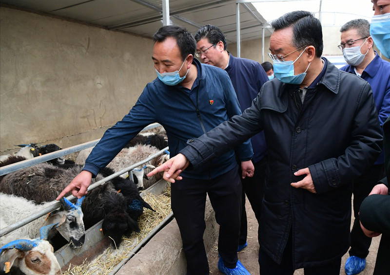 唐仁健在岷縣宕昌縣調(diào)研指導脫貧攻堅工作時強調(diào) 把好收官標準 確保脫貧質(zhì)量 奮力奪取脫貧攻堅全面勝利