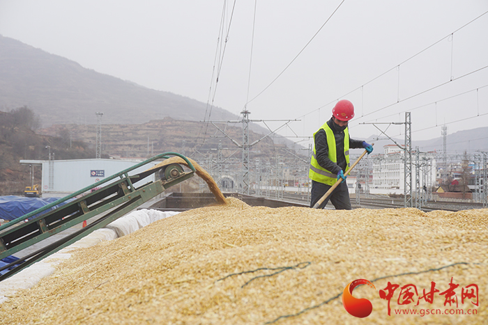 蘭州貨運中心岷縣營業(yè)部黨支部為客戶解愁為企業(yè)復工復產(chǎn)按下“快進鍵”