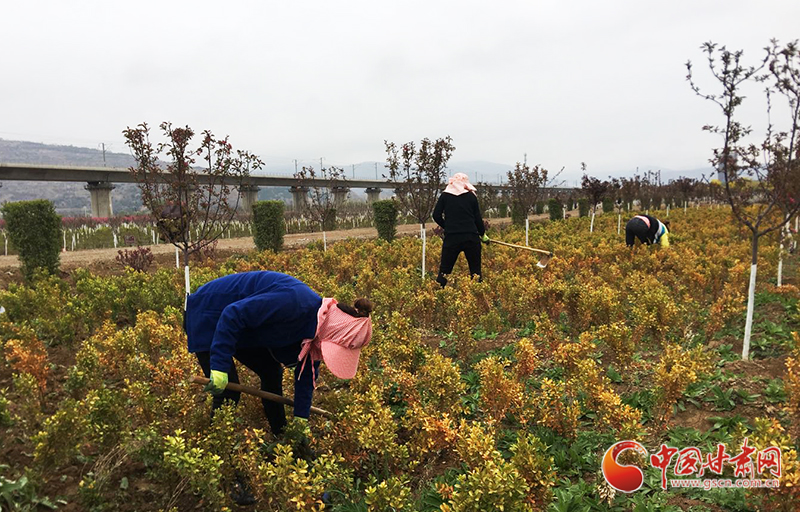 【甘肅省決戰(zhàn)決勝脫貧攻堅】天水麥積區(qū)：扶貧產(chǎn)業(yè)園讓貧困戶陪讀務工兩不誤（圖）