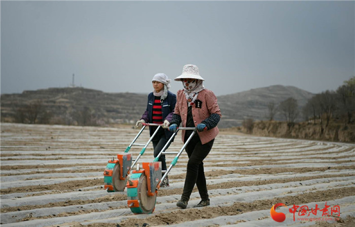 【甘肅省決戰(zhàn)決勝脫貧攻堅】蘭州榆中：加快農(nóng)業(yè)產(chǎn)業(yè)轉型升級帶動群眾增收致富