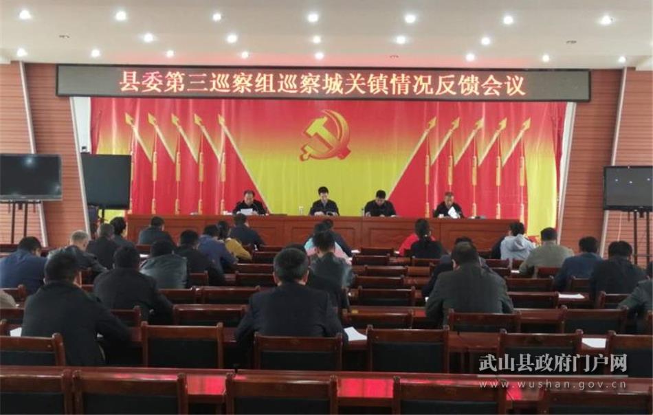 十四屆武山縣委第五輪巡察及醫(yī)療領域專項巡察組向各被巡察單位反饋意見