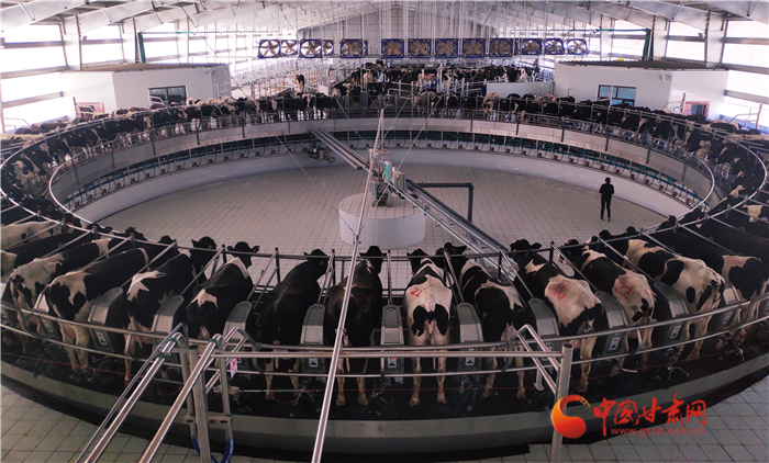 【甘肅省決戰(zhàn)決勝脫貧攻堅·面對面】馬志祥：前進(jìn)村不做華西村九牛一毛 要當(dāng)華西村九牛一牛