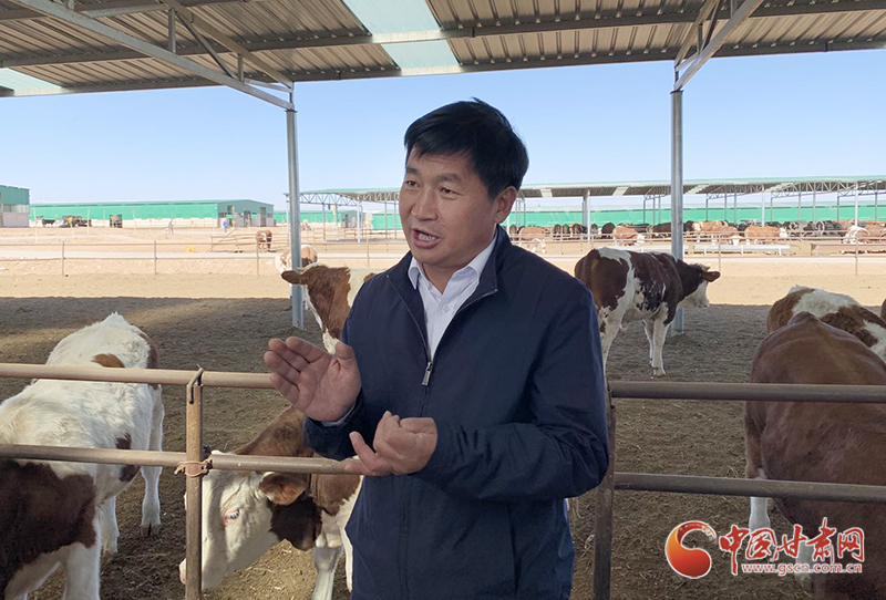 【甘肅省決戰(zhàn)決勝脫貧攻堅】古浪縣：特色養(yǎng)殖業(yè)激活脫貧“造血功能” 讓村民過上富裕的日子 （圖）