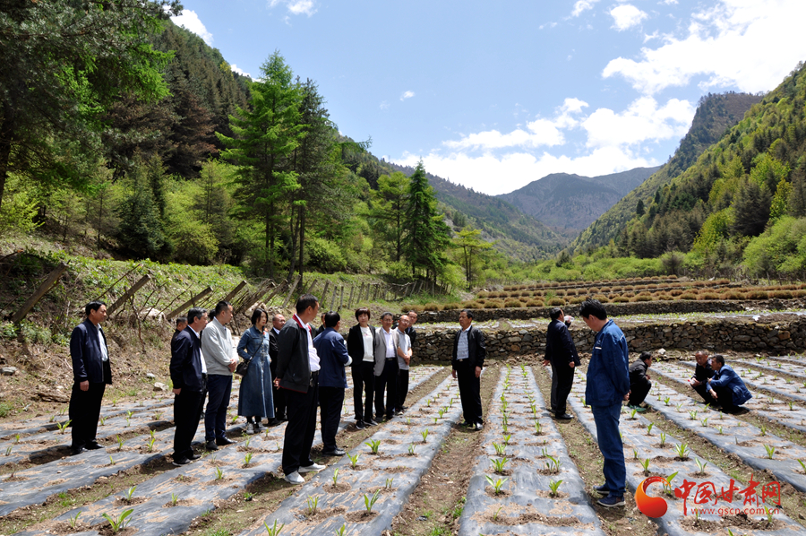 白龍江博峪河保護局開展產業(yè)發(fā)展、義務勞動成果現(xiàn)場觀摩交流活動