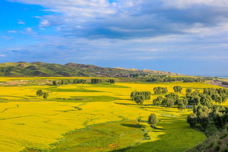 創(chuàng)意海報(bào)丨甘肅的美，你來(lái)了才知道