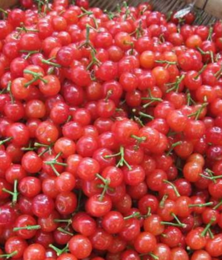 蘭州機場開設兩條農產(chǎn)品綠色檢查通道