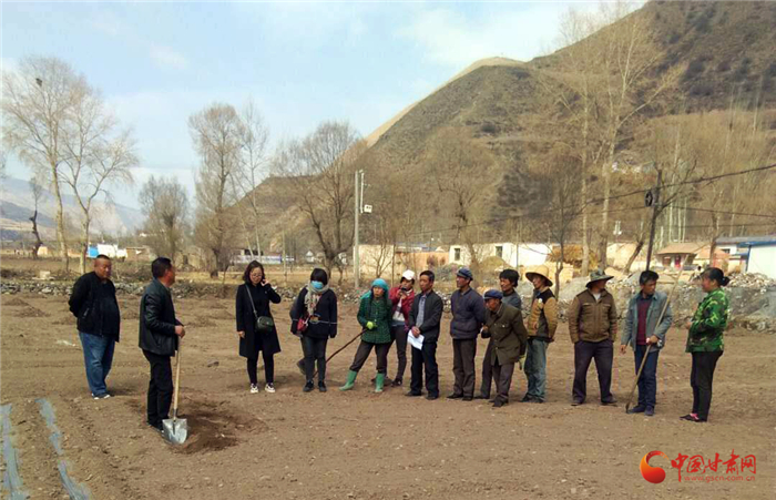 定西漳縣：“選育管獎”全方位強化村黨組織建設(shè)（圖）