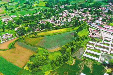 【溫暖的回響 滄桑巨變 飲水思源】這條路，通往幸福