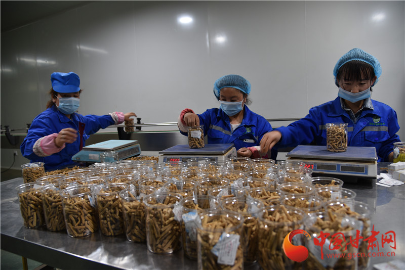 定西渭源：以工業(yè)集中區(qū)為核心引領工業(yè)經(jīng)濟穩(wěn)步發(fā)展（組圖）