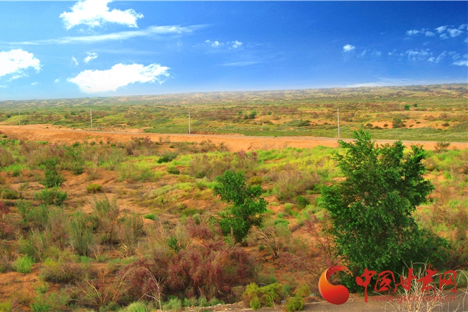 弘揚“八步沙精神”主題黨日學(xué)習(xí)活動舉行（圖）