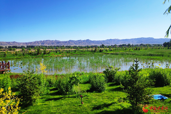 【跟著總書(shū)記看甘肅】張掖山丹：生態(tài)治理見(jiàn)成效 水潤(rùn)丹城惠民生