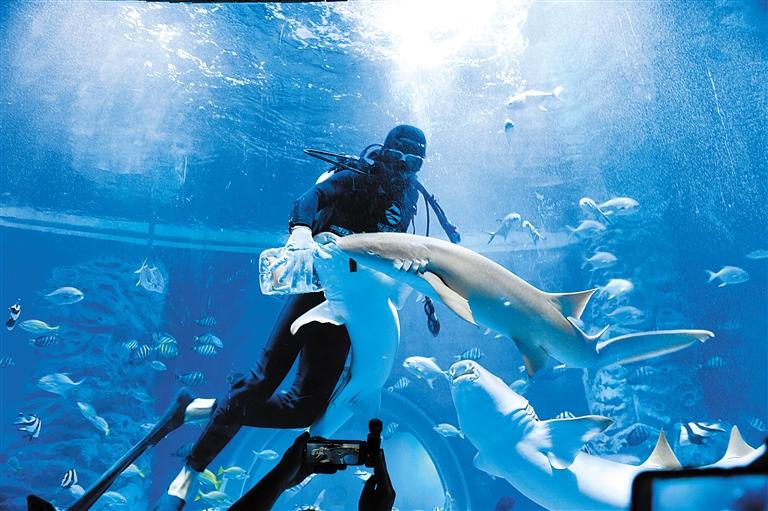 蘭州海洋公園 金昌火星1號基地 這個暑假我們“上天入?！?>
        </a><em>蘭州海洋公園 金昌火星1號基地 這個暑假我們“上天入?！?/em></li>
    <li><a  target=