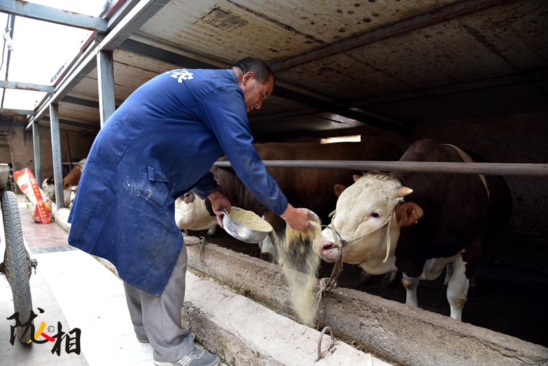 【隴人相】脫貧路上的實(shí)干家——“?！比笋R占清