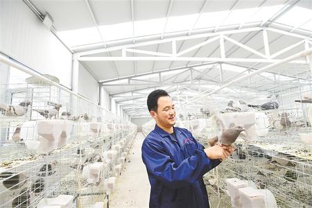 凝心聚力 并肩作戰(zhàn)——天津市薊州區(qū)與古浪縣東西部扶貧協(xié)作工作紀實