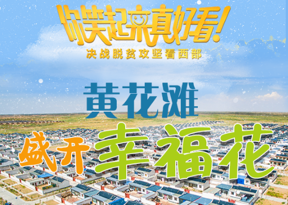 【你笑起來真好看】黃花灘盛開幸?；ǎ▓D解）