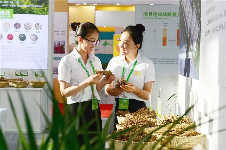 定西，從“千年藥鄉(xiāng)”邁向“中國藥都”