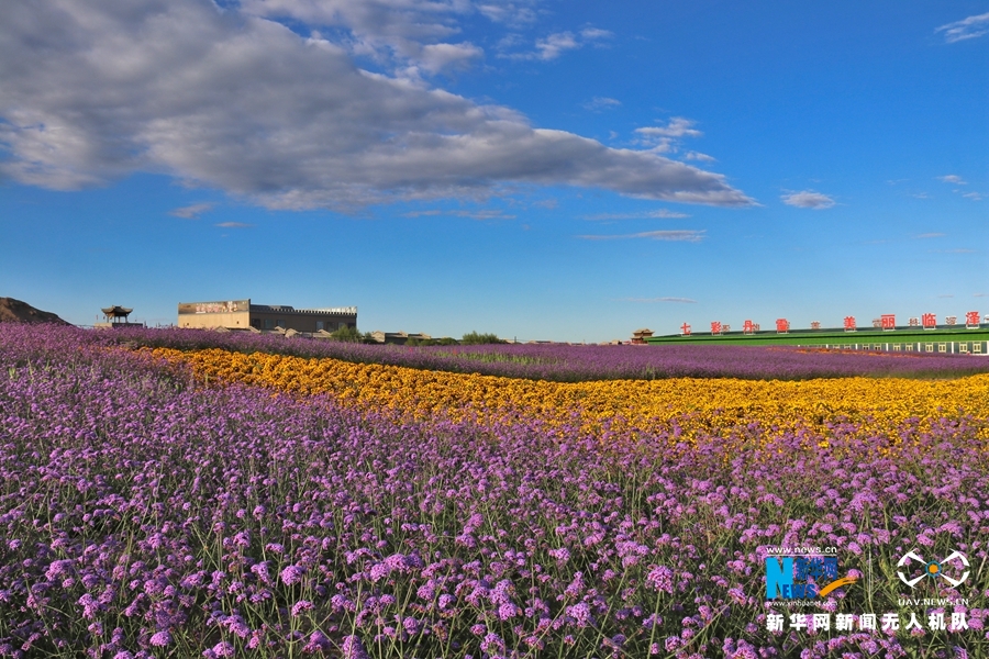 【“飛閱”中國(guó)】鳳凰花?！罢钩帷钡は伎?>
        </a><em>【“飛閱”中國(guó)】鳳凰花海“展翅”丹霞口</em></li>
    <li><a  target=