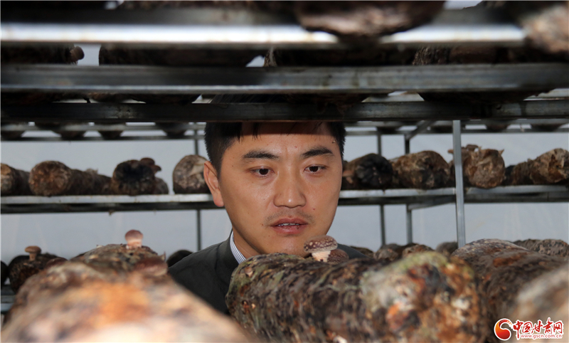 110年！何家溝村終于有了集體經(jīng)濟(jì)——中建二局黨建結(jié)對(duì)幫扶成效顯著