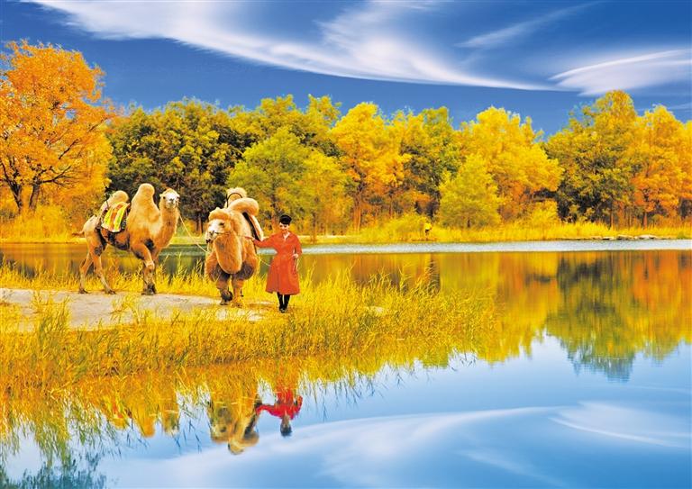 國慶長假，去金塔遇見最美胡楊