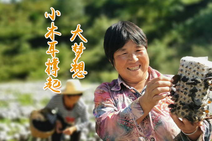 海報丨他們，乘“豐”破浪！