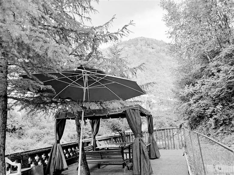 依托石佛溝景區(qū)打造“黨建+旅游”品牌 阿干鎮(zhèn)：做強農(nóng)家樂 講好阿干故事