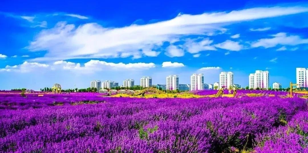 喜訊！金昌蟬聯(lián)全國(guó)文明城市