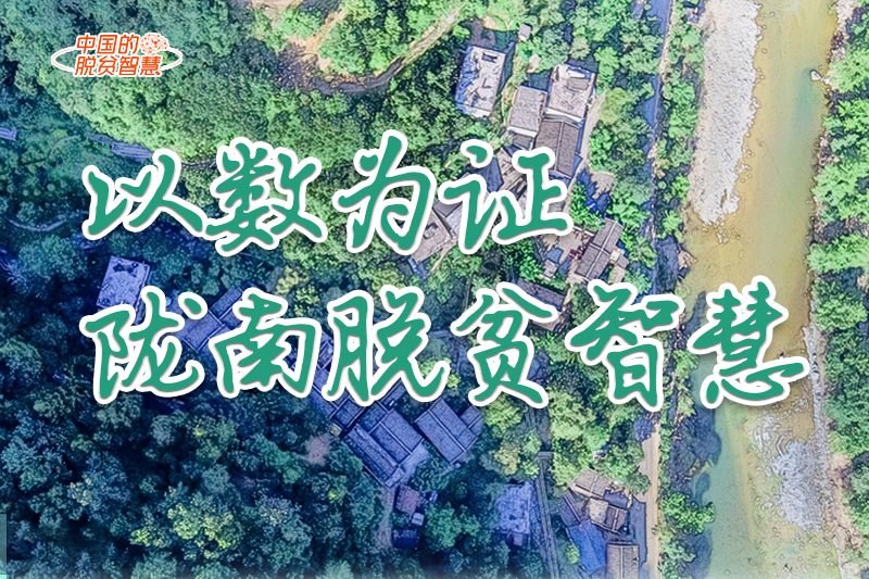 【中國的脫貧智慧】以數(shù)為證！隴南脫貧智慧來了！