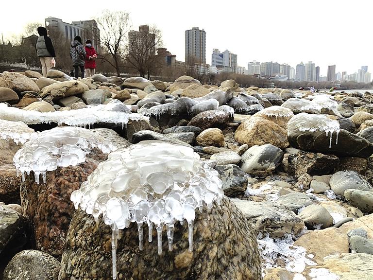 蘭州：水母上河灘？