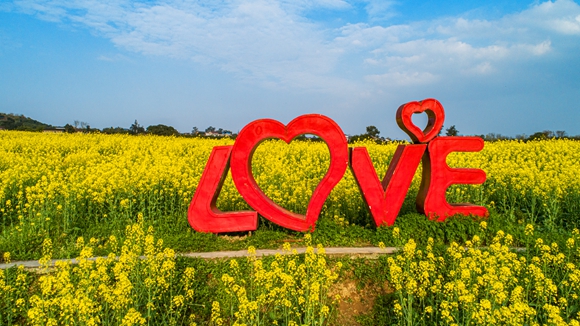 “l(fā)ove”創(chuàng)意拍照墻。廖濤 攝