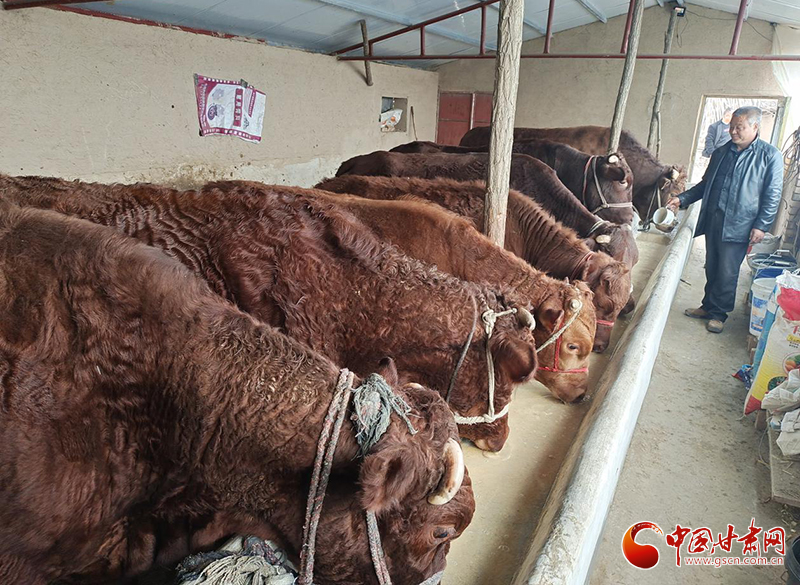 平?jīng)鰶艽ǎ骸芭！碑a(chǎn)業(yè)鋪就致富路