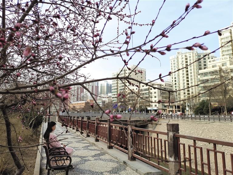 蘭州“第一朵花”開了！