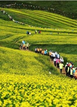 甘肅明確農(nóng)民進城落戶:不以退出承包地、林地等為條件