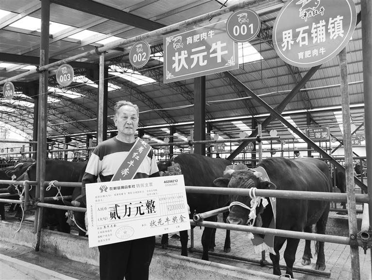 120頭“平?jīng)黾t?！膘o寧爭霸