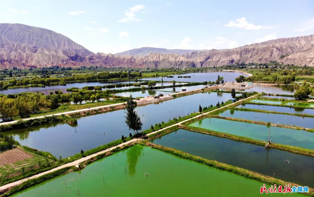 一秒入畫！太極島濕地風(fēng)光秀麗
