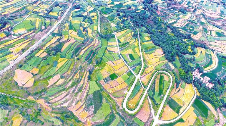 臨夏州積石山縣全面推進(jìn)“四好農(nóng)村路”建設(shè)