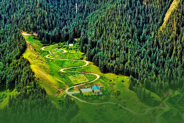 海報|祁連山保護區(qū)生態(tài)環(huán)境問題整改全面完成！