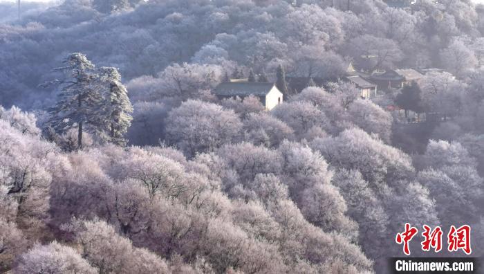 圖為霧凇美景?！⌒煺袢A 攝