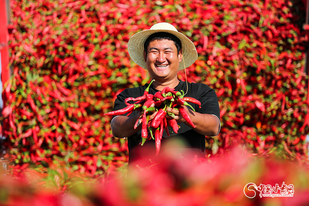 甘肅省“100系列”大型全媒體主題宣傳收官 中國甘肅網(wǎng)相關作品閱讀量近800萬