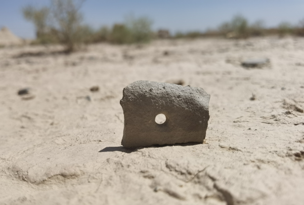 插圖1：河西走廊上遺存的古陶片。攝影：陳曉斌。拍攝日期：2020年6月。