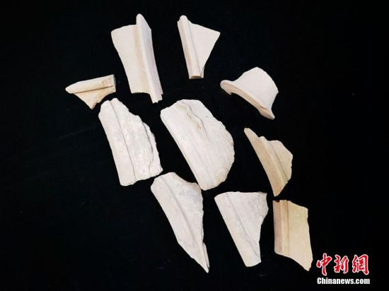 圖為靜寧縣賈河鄉(xiāng)竇坪村出土的彩陶片、紅陶片。 夏劍鋒 攝