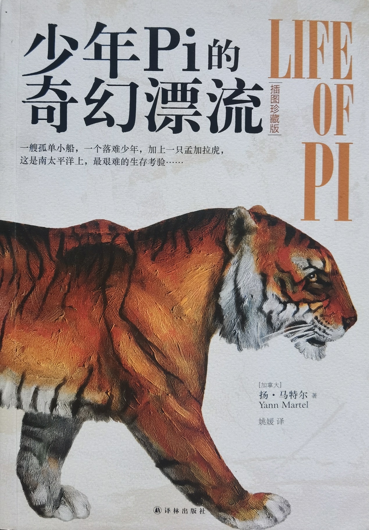 插圖1：揚(yáng)？馬特爾的小說《少年pi的奇幻漂流》封面