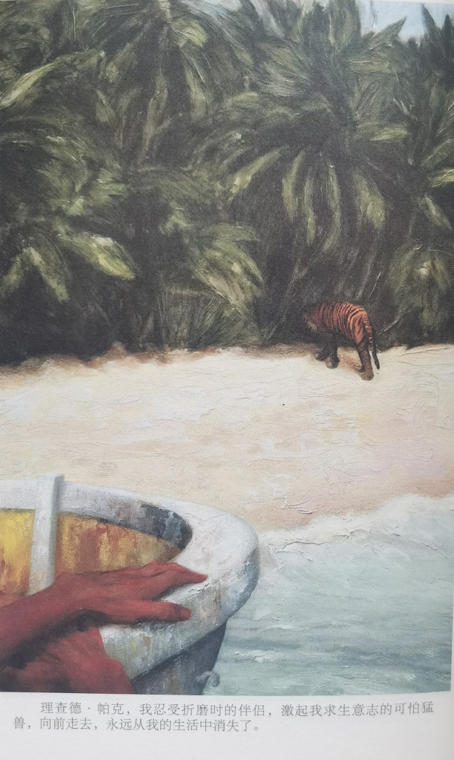 插圖3：揚(yáng)？馬特爾的小說《少年pi的奇幻漂流》插圖