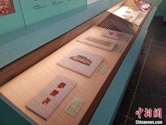 圖為展覽現(xiàn)場(chǎng)?！《鼗脱芯吭汗﹫D